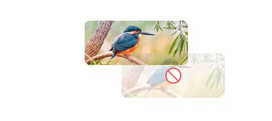image grag disable